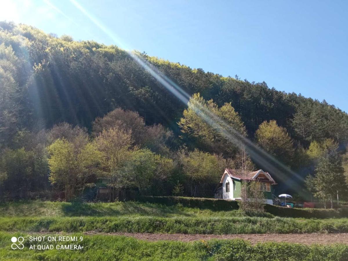 Vikendica Vrelo Πίροτ Εξωτερικό φωτογραφία